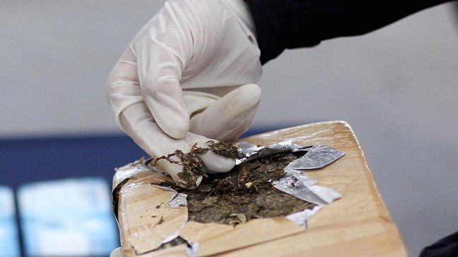 Narcotraficante cayó en el norte por excesivo uso de talco