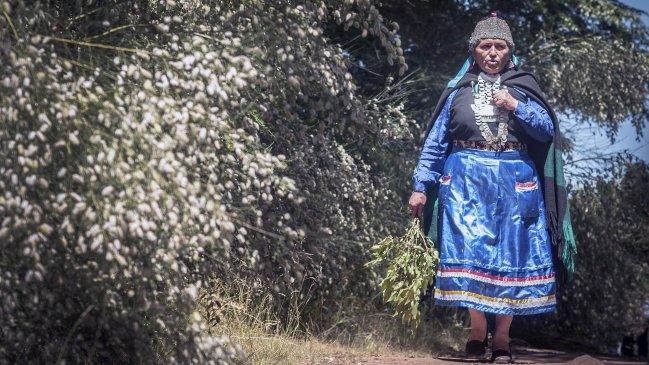 Imaginacción: Deuda del Estado con pueblo mapuche es un sentimiento generalizado