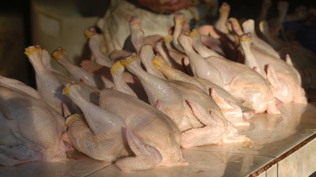 Ministro: No hay impedimento para seguir exportando pollos a EE.UU.