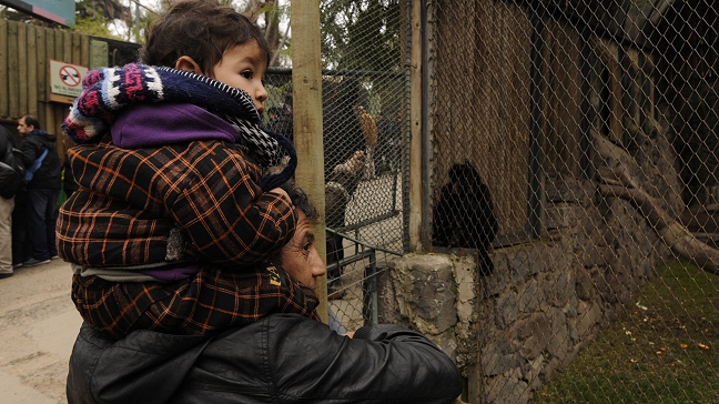 Serie de libros ayudan a los hombres a vivir la separación