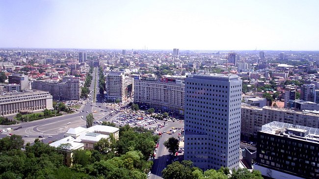 Niño de cuatro años murió tras ser atacado por perros callejeros