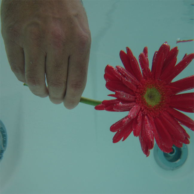 Imagen foto_00000001