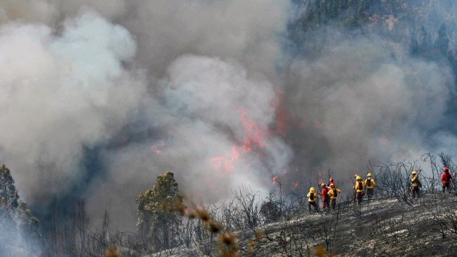 Diez compañías de Bomberos luchan contra incendio forestal
