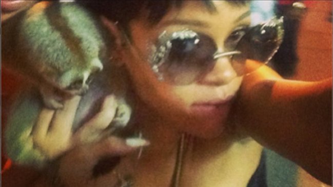 Dos detenidos en Tailandia por foto de Rihanna con primate