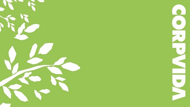 Grupo Saieh vendió control de CorpVida y CorpSeguros