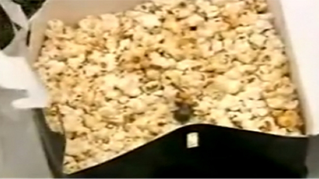 Corte confirmó indemnización contra cine por ratón en paquete de cabritas