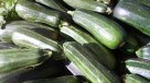 Agricultor de O\'Higgins: Las autoridades se demoraron en llegar