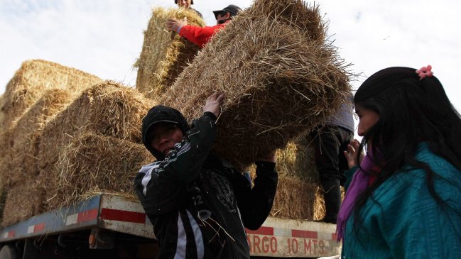 Minagri decretó emergencia agrícola para la Región de O'Higgins