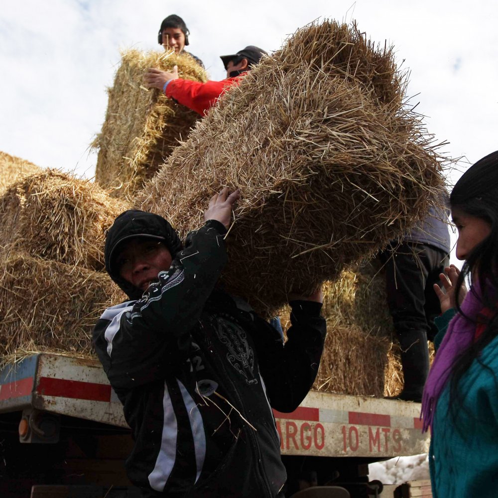 Minagri decretó emergencia agrícola para la Región de O'Higgins