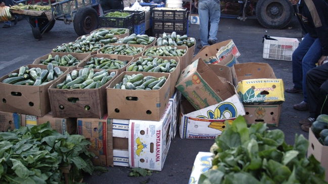 Intendente del Maule solicitó al Gobierno declarar zona de emergencia agrícola