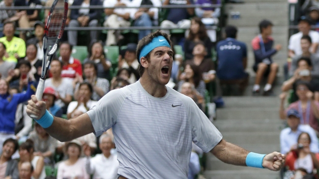 Juan Martín del Potro superó a Milos Raonic y se adjudicó el ATP de Tokio