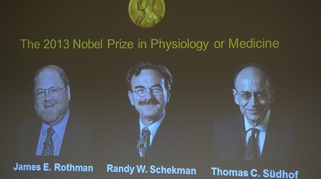 Dos estadounidenses y un alemán comparten el Nobel de Medicina 2013