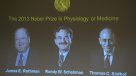 Dos estadounidenses y un alemán comparten el Nobel de Medicina 2013
