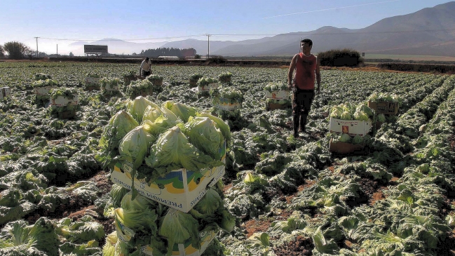 SNA pidió decretar estado de emergencia agrícola en la Región Metropolitana