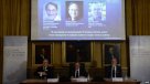 Karplus, Levitt y Warshel ganan el Premio Nobel de Química