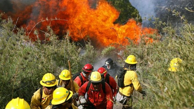 Dos incendios forestales movilizan a Bomberos en la Región de Valparaíso