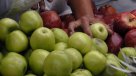 Preocupación en campesinos y temporeras por efectos de las heladas