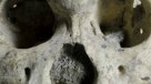 Los seres humanos evolucionaron \