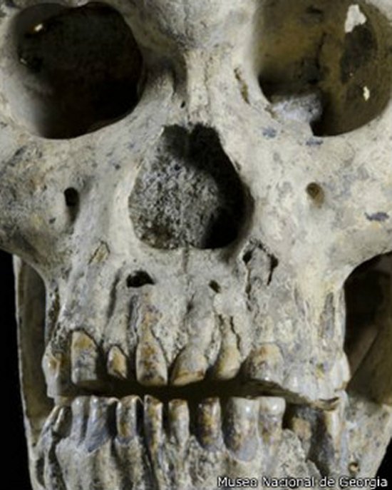 Imagen foto_00000014