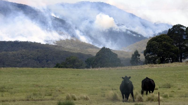 Australia: Murió piloto de avioneta que luchaba contra incendios