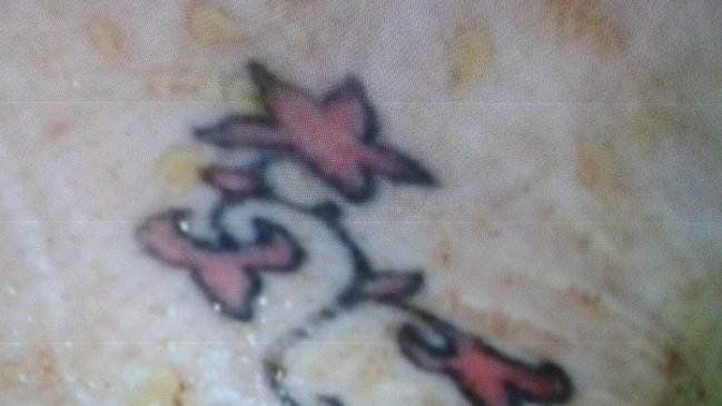 Familia contactada ante descuartizamiento: 