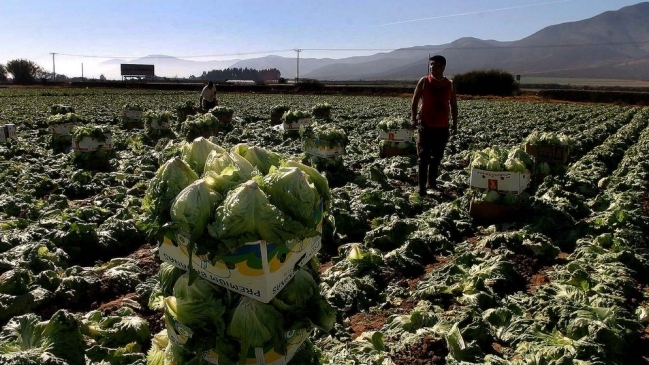 Gobierno cifró en 850 millones de dólares pérdidas en el agro por heladas