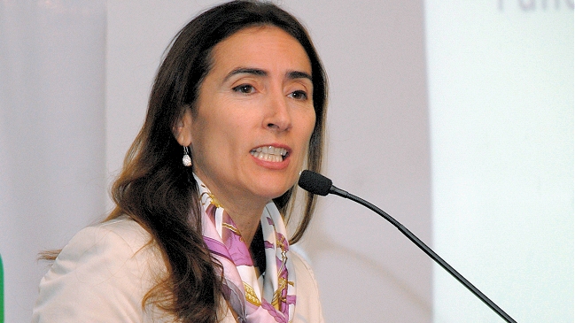 Ministra Schmidt lamentó que ranking no se aplique de forma gradual