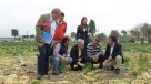 Piñera entregó más de 600 bonos a agricultores afectados por sequía