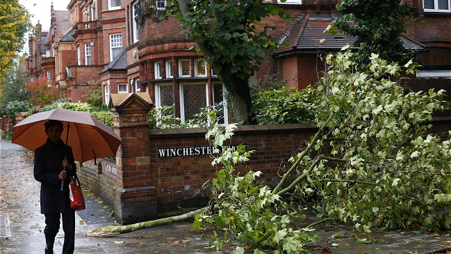 Caída de árboles por temporal cobró dos víctimas fatales en el Reino Unido