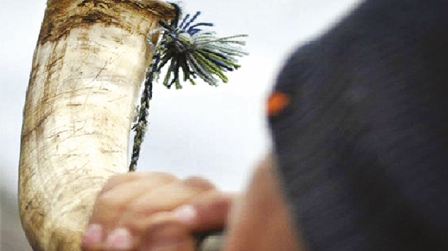 Pedro Cayuqueo: Poco se ha avanzado en el reconocimiento de los pueblos indígenas