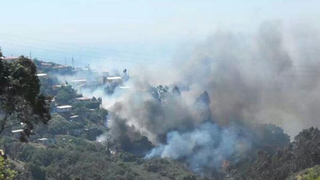 Incendios forestales afectan a dos sectores de la Región de Valparaíso