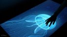 Tocar lo que vemos en pantalla: la tecnología táctil del futuro