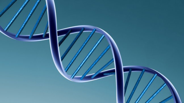 Piden 100.000 voluntarios para secuenciar su ADN y publicarlo en internet