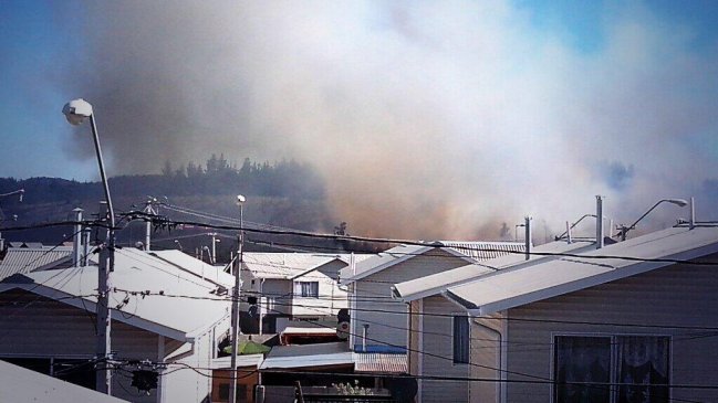 Incendio forestal amenazó viviendas en la localidad de Curauma