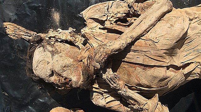 Gobierno duda que momias enterradas en Suiza sean de soldados chilenos