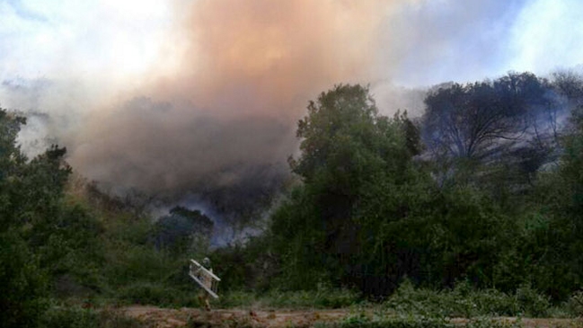 Nueva jornada de incendios forestales en la Región de Valparaíso
