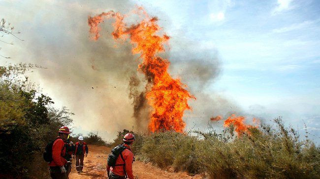 Lanzan campaña para prevenir incendios forestales en Valparaíso