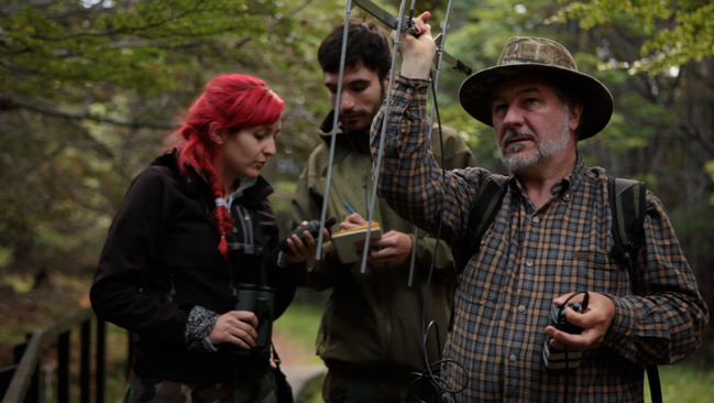 Este domingo se estrena 