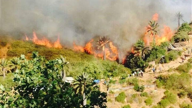 Onemi decretó alerta roja por incendio en Viña del Mar