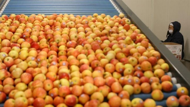 ¿Qué hay y qué falta en los supermercados de Venezuela?