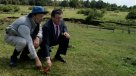 Arqueólogo inició nuevas excavaciones en Monte Verde