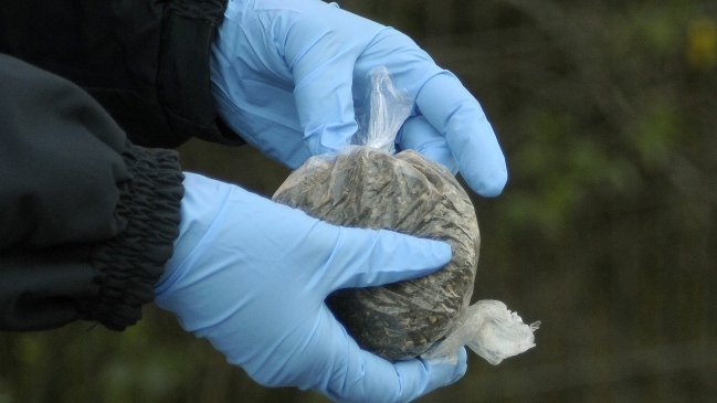 Incautan 1.200 dosis de pasta base en Villa Alemana