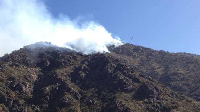Conaf y Bomberos combaten incendio forestal en el Cajón del Maipo