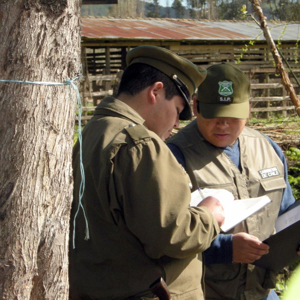 Carabineros investiga femicidio en Cartagena