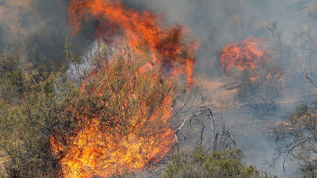 Onemi declaró alerta roja en San José de Maipo por incendio forestal