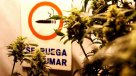 Mujica pidió que el mundo ayude a Uruguay en su \