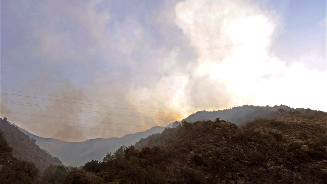 Equipos de emergencias reanudan combate contra incendio forestal en San José de Maipo