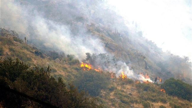 Incendio forestal en San José de Maipo ya consume más de 100 hectáreas