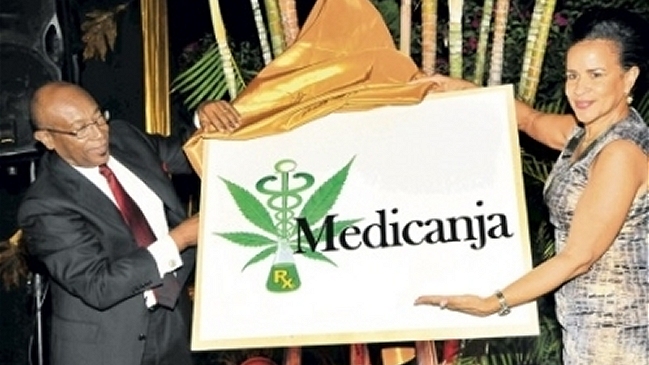  Primera compañía de marihuana medicinal en Jamaica  