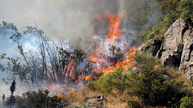 Onemi reportó seis incendios forestales simultáneos en la Región Metropolitana